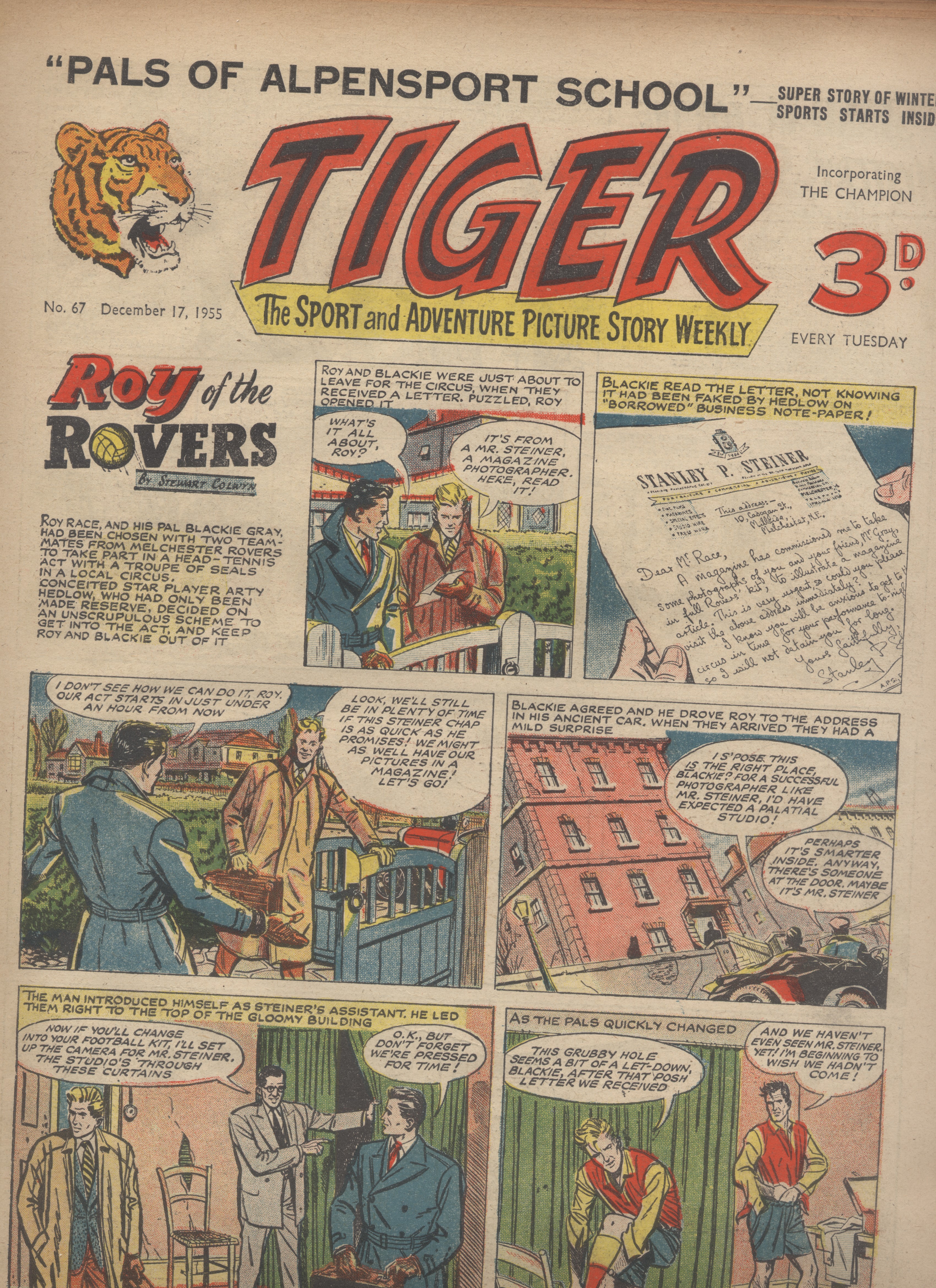 Tiger